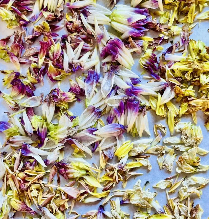 Cake/Cocktail/Dessert Confetti image 8