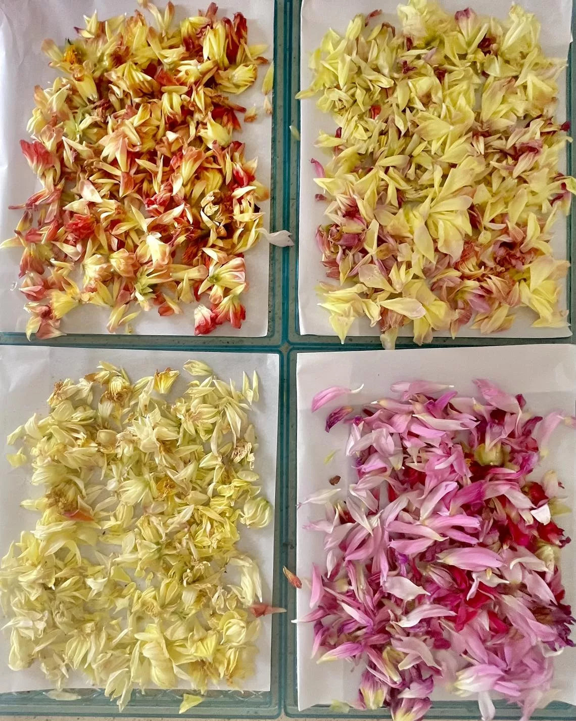 Cake/Cocktail/Dessert Confetti image 5