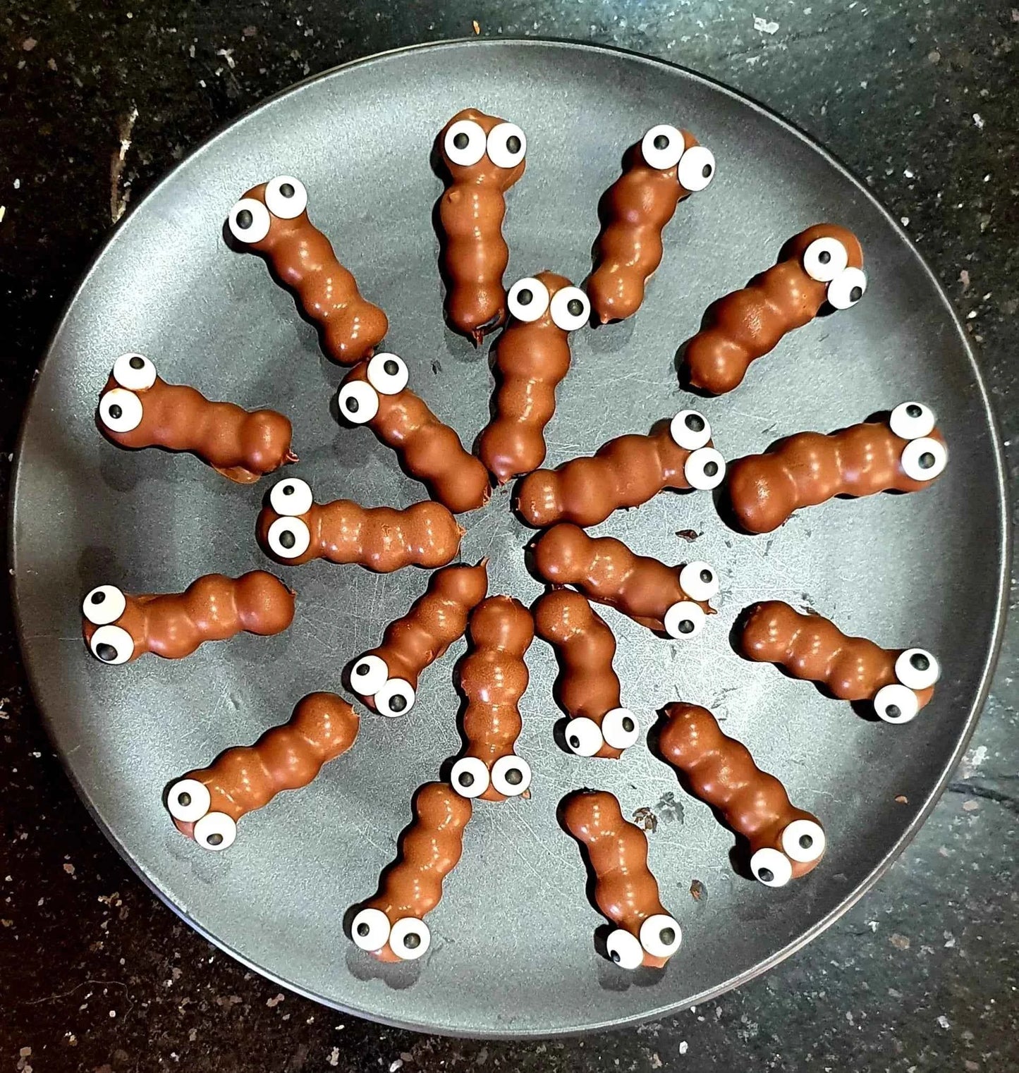 Beautiful Blueberry Bugs