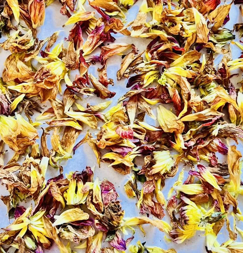 Cake/Cocktail/Dessert Confetti image 10